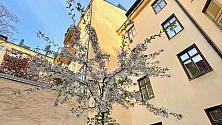 Innergården